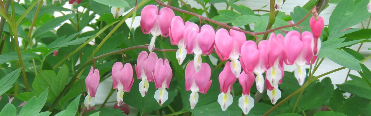 Bannière section Pour vous aider